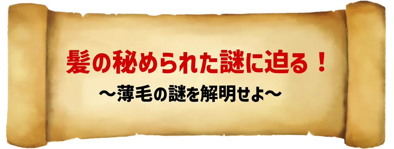 髪の秘められた謎に迫る